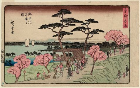 歌川広重: Cherry Blossoms in Full Bloom along the Sumida River (Sumidagawa hanazakari no zu), from the series Famous Places in the Eastern Capital (Tôto meisho) - ボストン美術館