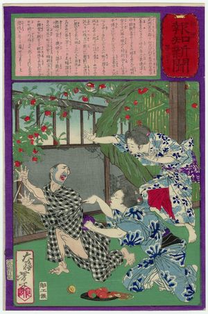 Tsukioka Yoshitoshi: No. 471, from the series The Post Dispatch Newspaper (Yûbin hôchi shinbun) - Museum of Fine Arts