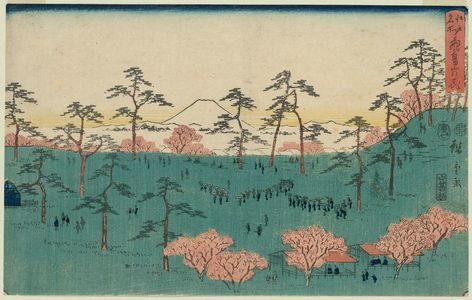 Utagawa Hiroshige: Cherry Blossoms at Asuka Hill (Asukayama no hana), from the series Famous Places in Edo (Edo meisho) - Museum of Fine Arts