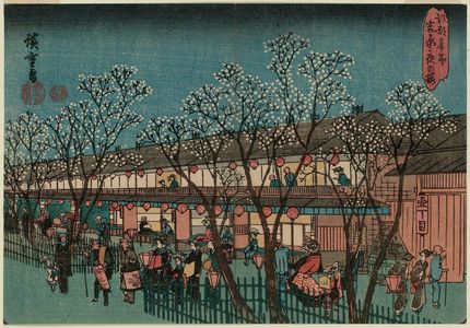 歌川広重: Cherry Blossoms at Night in the Yoshiwara (Yoshiwara yoru no sakura), from the series Famous Places in Edo (Kôto meisho) - ボストン美術館