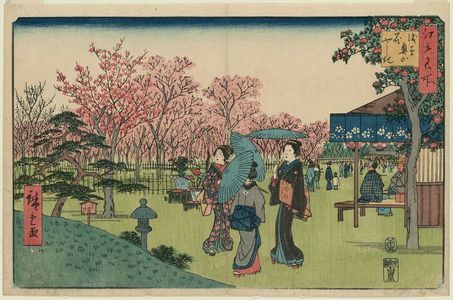 Utagawa Hiroshige: Flower Garden in the Inner Precincts at Asakusa (Asakusa okuyama hanayashiki), from the series Famous Places in Edo (Edo meisho) - Museum of Fine Arts