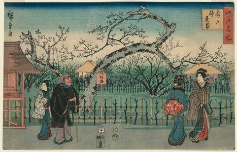 歌川広重: Plum Garden at Kameido (Kameido ume yashiki), from the series Famous Places in Edo (Edo meisho) - ボストン美術館