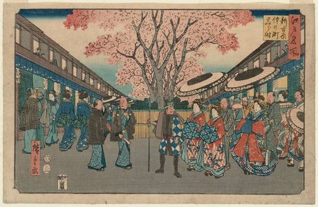Utagawa Hiroshige: Cherry-blossom Time at Naka-no-chô in the New Yoshiwara (Shin Yoshiwara Naka-no-chô sakura toki), from the series Famous Places in Edo (Edo meisho) - Museum of Fine Arts