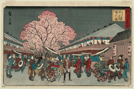 歌川広重: Holiday of Cherry Blossoms at Naka-no-chô in the Yoshiwara (Yoshiwara Naka-no-chô sakura no monbi), from the series Famous Places in Edo (Edo meisho) - ボストン美術館