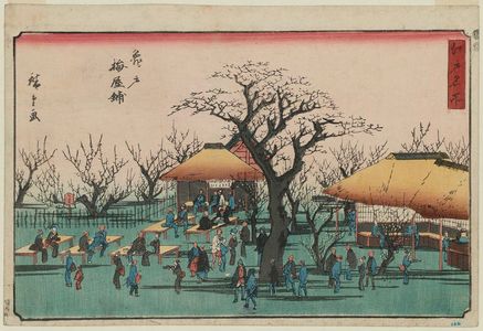 歌川広重: Plum Garden at Kameido (Kameido Umeyashiki), from the series Famous Places in Edo (Edo meisho) - ボストン美術館