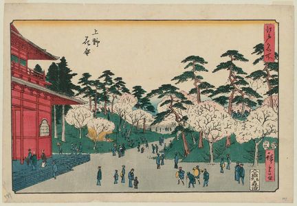 Utagawa Hiroshige: Cherry Blossoms in Full Bloom at Ueno (Ueno hanazakari), from the series Famous Places in Edo (Edo meisho) - Museum of Fine Arts