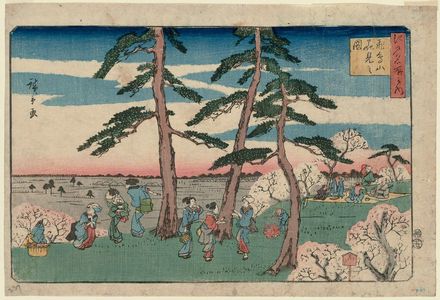 Utagawa Hiroshige: Cherry-blossom Viewing at Asuka HIll (Asukayama hanami no zu), from the series Famous Places in Edo (Edo meisho no uchi) - Museum of Fine Arts
