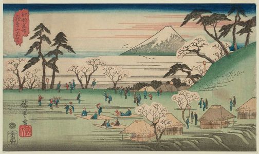 歌川広重: Cherry-blossom Viewing at Asuka Hill (Asukayama hanami), from the series Famous Places in Edo (Kôto meisho) - ボストン美術館