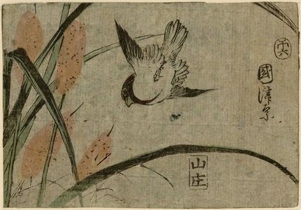 Utagawa Kuniteru: Sparrow and Bulrushes - Museum of Fine Arts