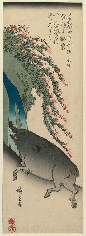 歌川広重: Boar with Waterfall and Bush Clover, from an untitled series of the twelve zodiac animals - ボストン美術館