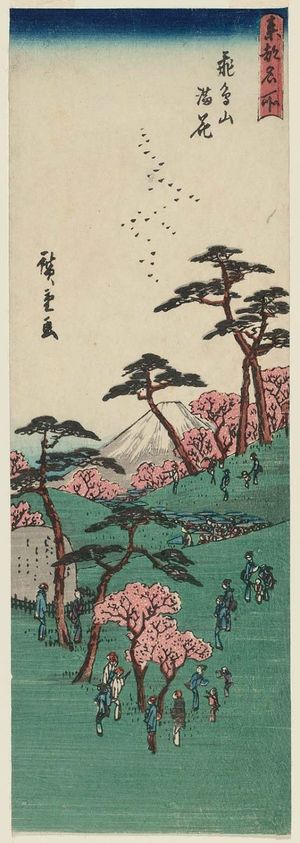 Utagawa Hiroshige: Cherry Blossoms in Full Bloom at Asuka Hill (Asukayama manka), from the series Famous Places in the Eastern Capital (Tôto meisho) - Museum of Fine Arts
