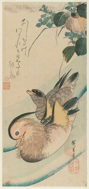 Utagawa Hiroshige: Mandarin Ducks and Mizu-aoi - Museum of Fine Arts
