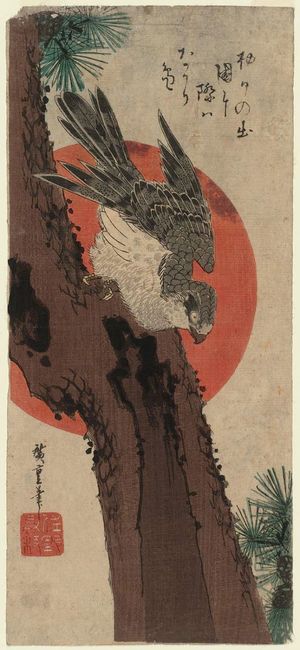 歌川広重: Falcon, Pine, and New Year Sunrise - ボストン美術館