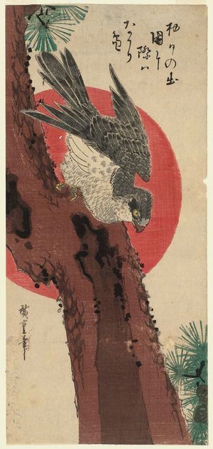 Utagawa Hiroshige: Falcon, Pine, and New Year Sunrise - Museum of Fine Arts