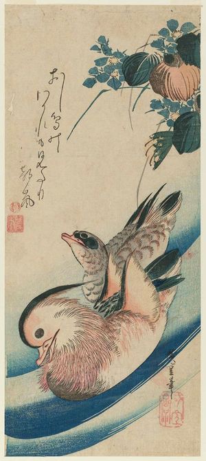 Utagawa Hiroshige: Mandarin Ducks and Mizu-aoi - Museum of Fine Arts