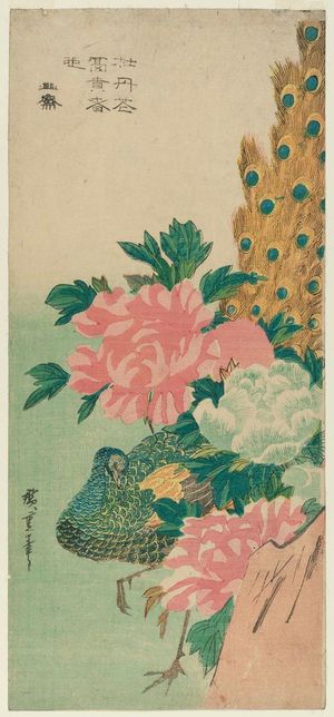 歌川広重: Peacock and Peonies - ボストン美術館