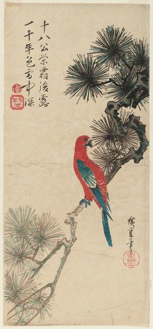 Utagawa Hiroshige: Macaw on Pine Branch - Museum of Fine Arts