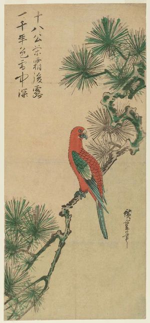 Utagawa Hiroshige: Macaw on Pine Branch - Museum of Fine Arts