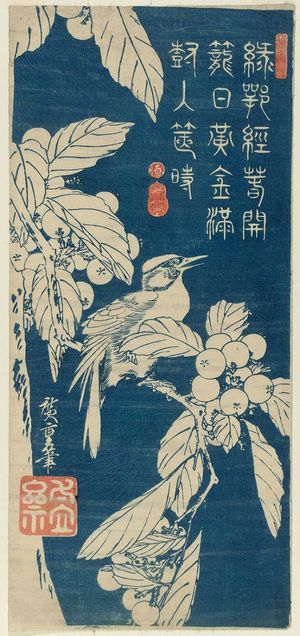 Utagawa Hiroshige: Bird and Loquat - Museum of Fine Arts