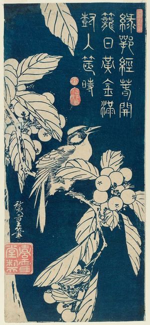 Utagawa Hiroshige: Bird and Loquat - Museum of Fine Arts