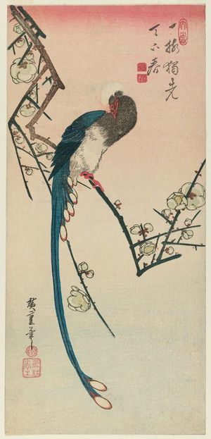 歌川広重: Long-tailed Bird on Flowering Plum Branch - ボストン美術館