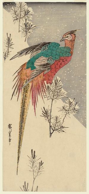 Utagawa Hiroshige: Golden Pheasant and Pine Shoots in Snow - Museum of Fine Arts