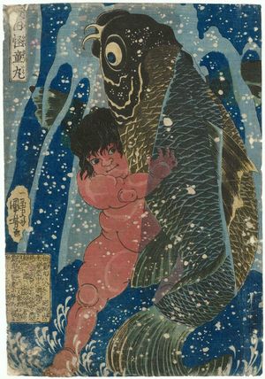 Utagawa Kuniyoshi: Sakata Kaidômaru - Museum of Fine Arts