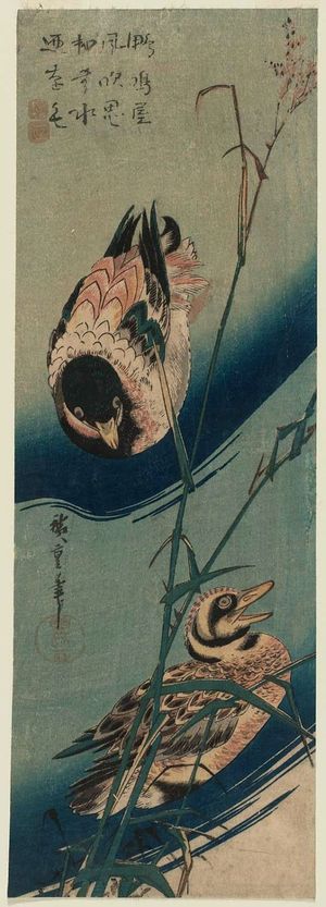 Utagawa Hiroshige: Ducks and Reeds - Museum of Fine Arts