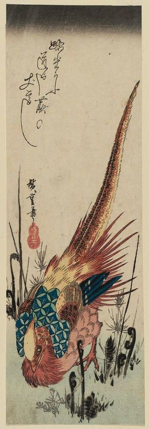 Utagawa Hiroshige: Golden Pheasant and Fern Shoots - Museum of Fine Arts