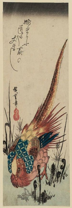 歌川広重: Golden Pheasant and Fern Shoots - ボストン美術館