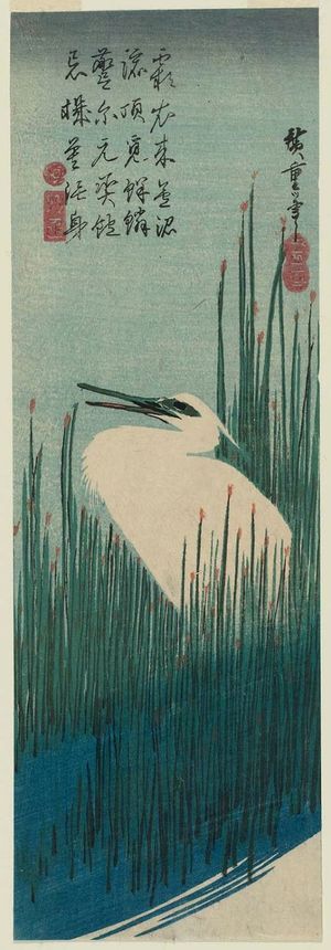Utagawa Hiroshige: White Heron and Rushes - Museum of Fine Arts