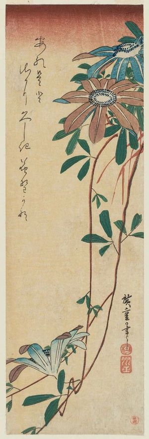 Utagawa Hiroshige: Clematis - Museum of Fine Arts