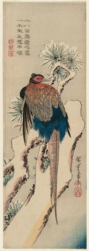 歌川広重: Pheasant on a Snow-covered Pine Tree - ボストン美術館