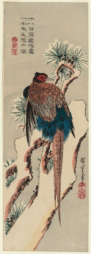 Japanischer Druck "Pheasant on a Snow-covered Pine Tree" von Utagawa Hiroshige, 歌川広重 (Utagawa Hiroshige I)