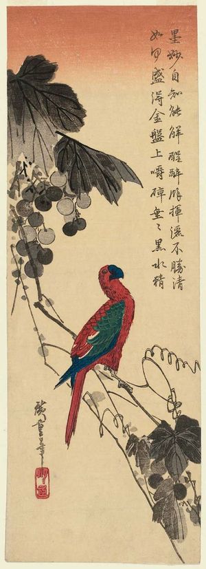 歌川広重: Macaw on Grapevine - ボストン美術館