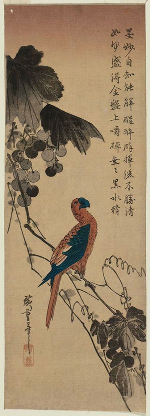 歌川広重: Macaw on Grapevine - ボストン美術館