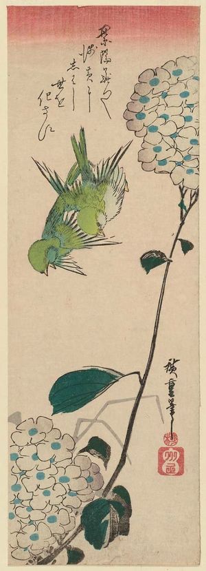 Utagawa Hiroshige: Two Birds and Hydrangea - Museum of Fine Arts