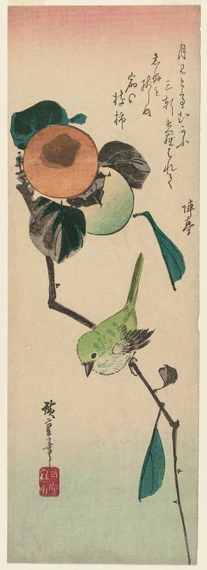 Utagawa Hiroshige: Persimmons and Japanese White-eye - Museum of Fine Arts