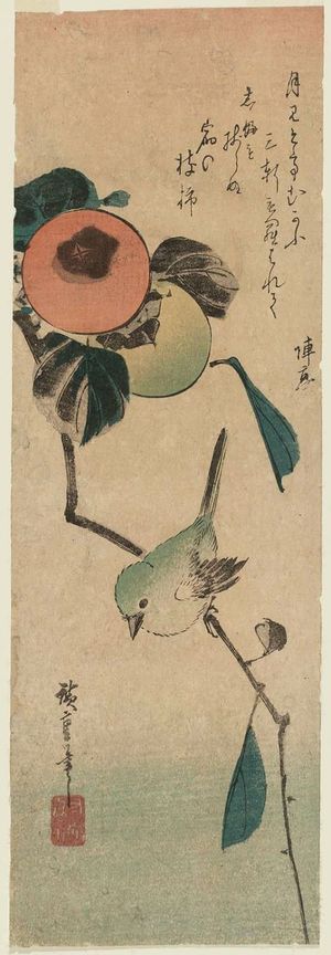 Utagawa Hiroshige: Persimmons and Japanese White-eye - Museum of Fine Arts