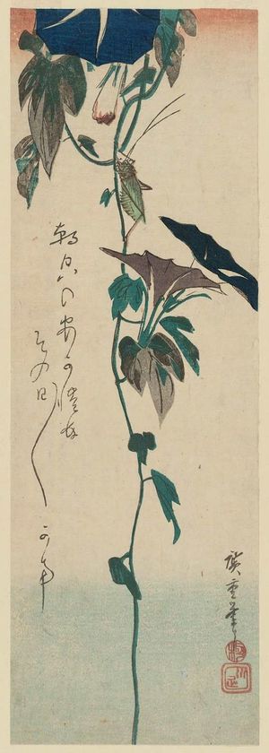 Utagawa Hiroshige: Grasshopper and Morning Glories - Museum of Fine Arts