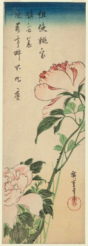 Utagawa Hiroshige: Peonies - Museum of Fine Arts