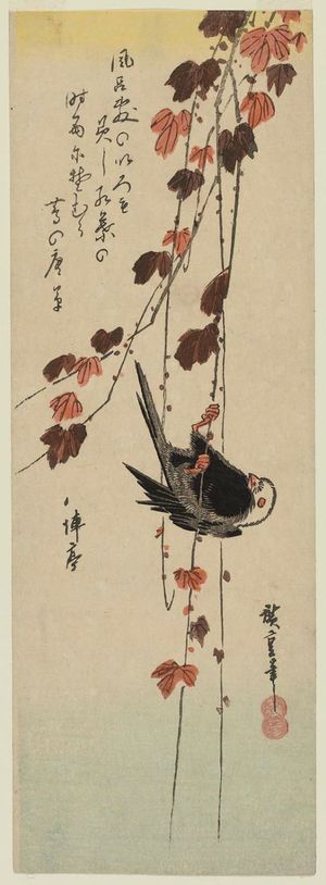 Utagawa Hiroshige: White-headed Bird Clinging to Ivy Vine - Museum of Fine Arts