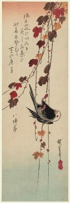 Utagawa Hiroshige: White-headed Bird Clinging to Ivy Vine - Museum of Fine Arts