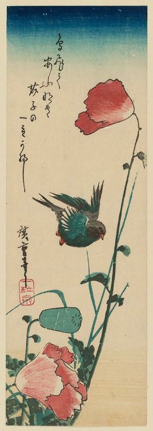Utagawa Hiroshige: Swallow and Poppy - Museum of Fine Arts