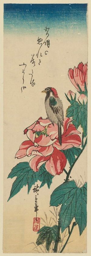 Utagawa Hiroshige: Peony and Bird - Museum of Fine Arts