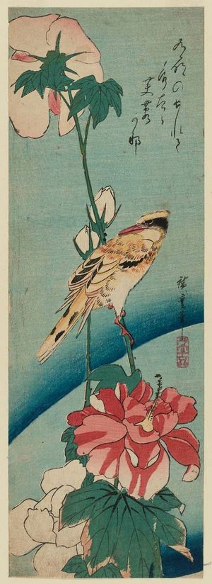 Utagawa Hiroshige: Hibiscus and Black-naped Oriole - Museum of Fine Arts