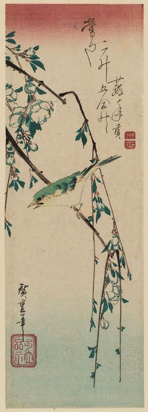 Utagawa Hiroshige: Warbler on Plum Branch - Museum of Fine Arts