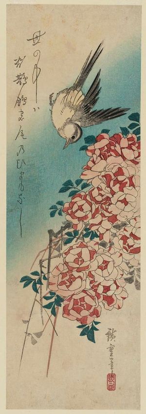 Utagawa Hiroshige: Wagtail and Roses - Museum of Fine Arts