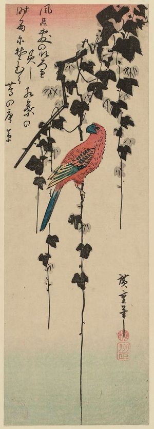 Utagawa Hiroshige: Macaw on Ivy Vine - Museum of Fine Arts