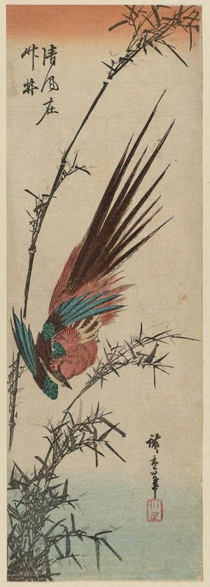 Utagawa Hiroshige: Golden Pheasant and Bamboo - Museum of Fine Arts